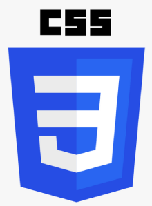 CSS Training in noida
