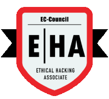 Ethical Hacking Training in bangalore
