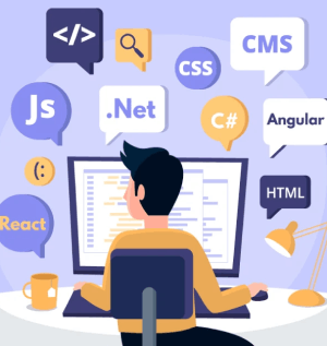 Web Development Training in noida