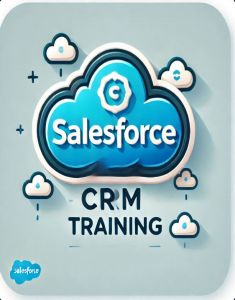 SalesForce Training in delhi